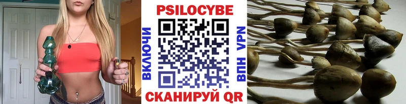 Галлюциногенные грибы прущие грибы гидра сайт Макарьев